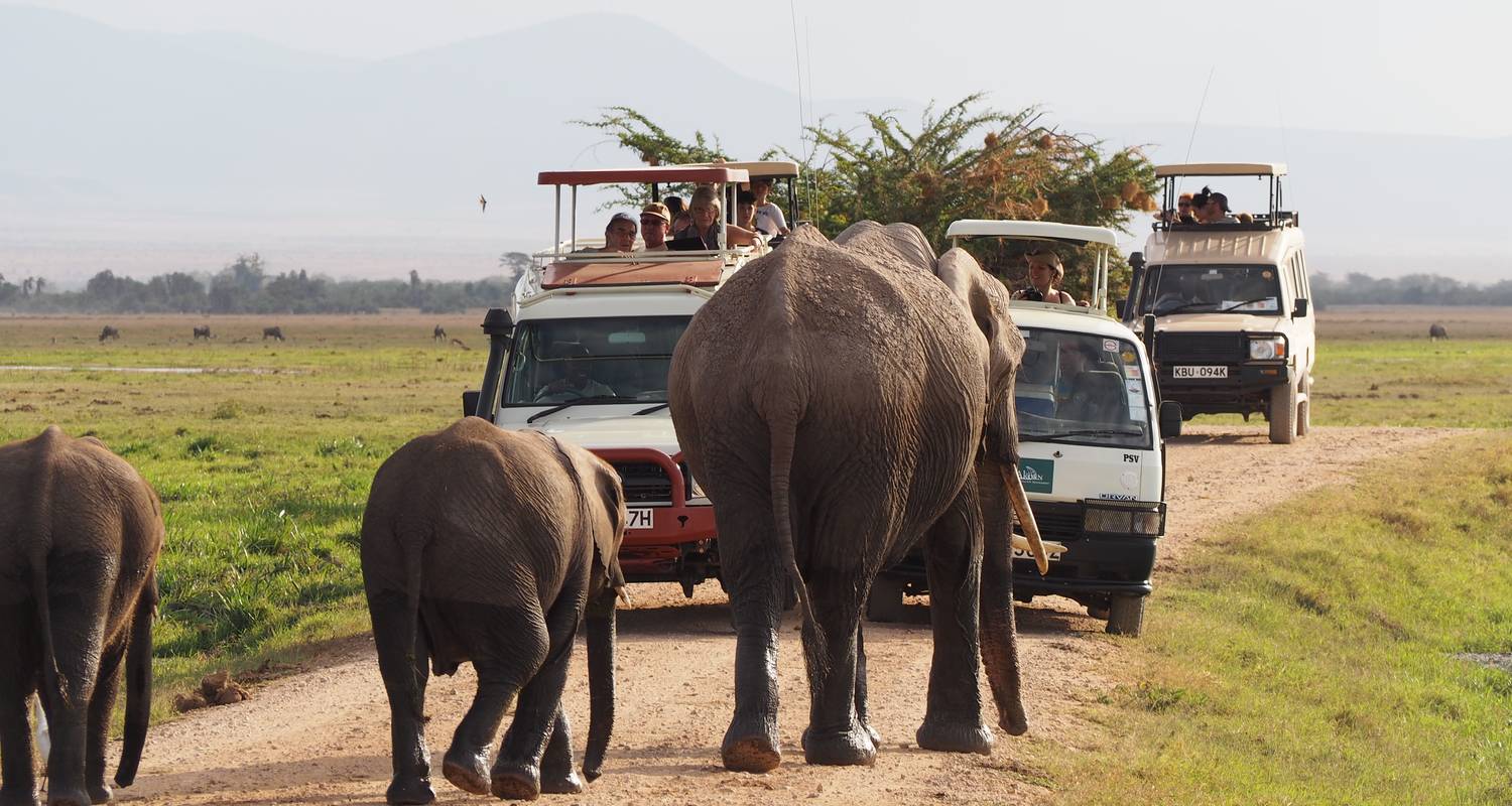 Escorted tour